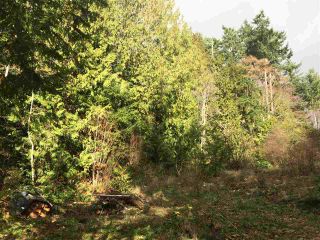 Photo 4: LOT 1 GRANDVIEW Road in Gibsons: Gibsons & Area Land for sale in "BONNIEBROOK" (Sunshine Coast)  : MLS®# R2239418