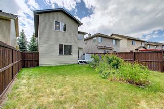 Photo 45: 287 Chapalina Terrace SE in Calgary: Chaparral Detached for sale : MLS®# A1246108