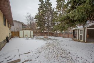 Photo 43: 124 Pineland Place NE in Calgary: Pineridge Detached for sale : MLS®# A1206997