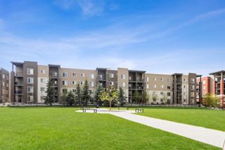 Photo 28: 8101 403 Mackenzie Way SW: Airdrie Apartment for sale : MLS®# A1221566