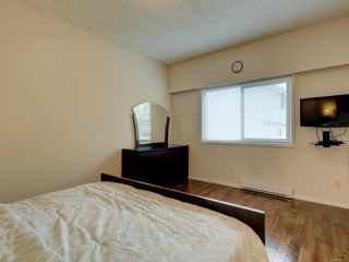 Photo 14: 4255 Kincaid St in Saanich: SE High Quadra House for sale (Saanich East)  : MLS®# 888781