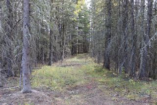 Photo 14: 360085 214 Avenue W: Rural Foothills County Residential Land for sale : MLS®# A1149106