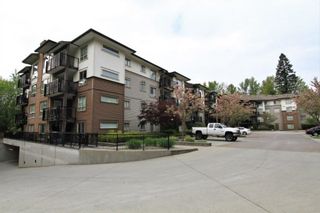 Photo 16: 411 11665 HANEY BYPASS in Maple Ridge: East Central Condo for sale : MLS®# R2263527
