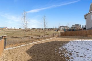 Photo 45: 117 Lavender Link: Chestermere Detached for sale : MLS®# A1231021