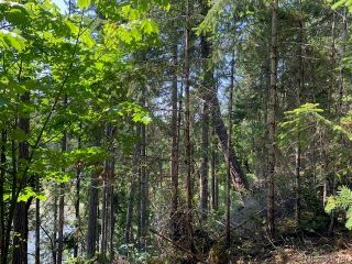 Photo 48: 409 Pilkey Point Rd in Thetis Island: Isl Thetis Island Land for sale (Islands)  : MLS®# 936787