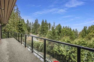 Photo 33: 3855 BAYRIDGE Avenue in West Vancouver: Bayridge House for sale : MLS®# R2540779
