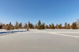 Photo 3: 22 Meadowlark Crescent SW in Calgary: Meadowlark Park Detached for sale : MLS®# A2032842