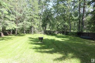 Photo 40: 5814 48 Street: Rural Wetaskiwin County House for sale : MLS®# E4333264