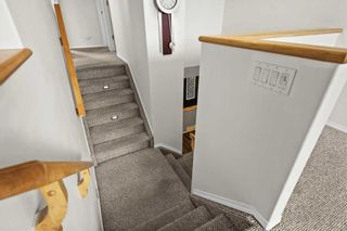 Photo 15: 218 Sagewood Drive SW: Airdrie Detached for sale : MLS®# A2137837
