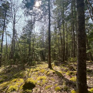 Photo 5: Lot 8 Old Trunk Highway 3 in Hebbs Cross: 405-Lunenburg County Vacant Land for sale (South Shore)  : MLS®# 202312885