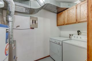 Photo 9: 101 417 Beaver Street: Banff Apartment for sale : MLS®# A1183932
