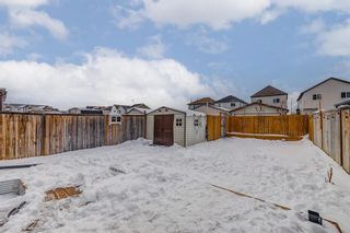 Photo 34: 422 Copperpond Boulevard SE in Calgary: Copperfield Detached for sale : MLS®# A2012597