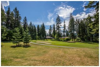 Photo 4: 2598 Golf Course Drive in Blind Bay: Shuswap Lake Estates House for sale : MLS®# 10102219