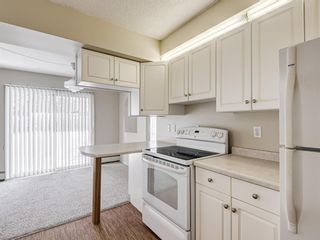 Photo 4: 101 6919 Elbow Drive SW in Calgary: Kelvin Grove Apartment for sale : MLS®# A1232796