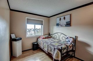 Photo 14: 228 Martindale Drive NE in Calgary: Martindale Detached for sale : MLS®# A2086435
