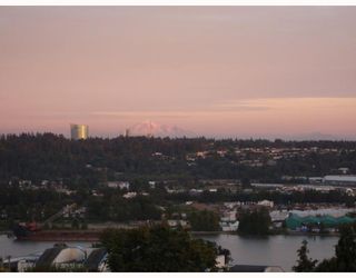 Photo 9: 501 320 ROYAL Avenue in New_Westminster: Downtown NW Condo for sale in "PEPPERTREE" (New Westminster)  : MLS®# V781302