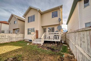 Photo 21: 123 Coral Springs Court NE in Calgary: Coral Springs Detached for sale : MLS®# A2122685