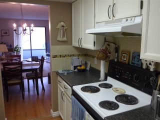 Photo 12: 302 1341 GEORGE Street: White Rock Condo for sale in "Ocean  View" (South Surrey White Rock)  : MLS®# R2429282