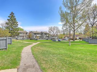Photo 14: 20 12 Templewood Drive NE in Calgary: Temple Row/Townhouse for sale : MLS®# A2045165