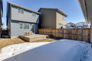 Photo 33: 161 Evansborough Way NW in Calgary: Evanston Detached for sale : MLS®# A2033757
