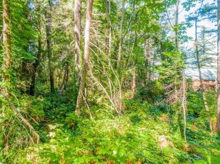 Photo 7: 16 PASSAGE Island in West Vancouver: Passage Island Land for sale : MLS®# R2833774