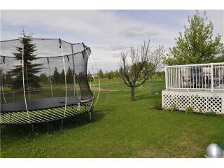 Photo 20: 76 FAIRWAYS Drive NW: Airdrie Residential Detached Single Family for sale : MLS®# C3525887