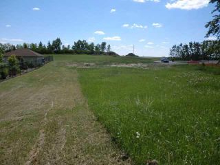 Photo 5: 1503 Westridge Road: Strathmore Residential Land for sale : MLS®# A2112564