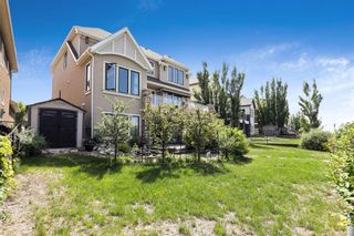 Photo 44: 138 Cranridge Terrace SE in Calgary: Cranston Detached for sale : MLS®# A2069196