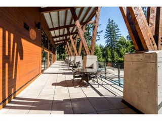Photo 33: 43573 RED HAWK Pass: Lindell Beach House for sale in "The Cottages at Cultus Lake" (Cultus Lake)  : MLS®# R2477513