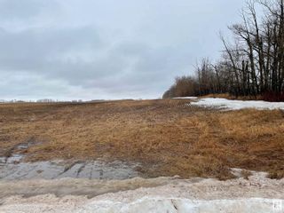 Photo 4: RR 205 Hwy 656: Rural Thorhild County Rural Land/Vacant Lot for sale : MLS®# E4290092
