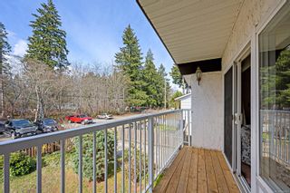 Photo 50: 450 Willemar Ave in Courtenay: CV Courtenay City Full Duplex for sale (Comox Valley)  : MLS®# 928411