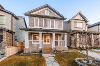 Photo 30: 228 Copperpond Parade SE in Calgary: Copperfield Detached for sale : MLS®# A2121997