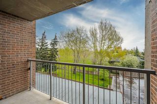 Photo 21: 406 4944 Dalton Drive NW in Calgary: Dalhousie Apartment for sale : MLS®# A2134383