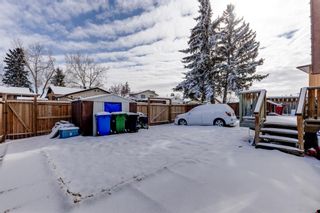 Photo 30: 76 Templewood Road NE in Calgary: Temple Detached for sale : MLS®# A1190228
