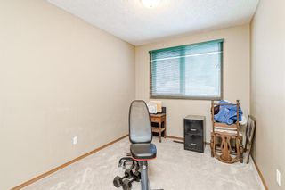 Photo 14: 3240 Doverthorn Way SE in Calgary: Dover Detached for sale : MLS®# A2021642