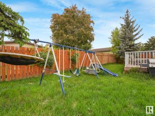 Photo 16: 3152 78 street in Edmonton: Zone 29 House for sale : MLS®# E4390330