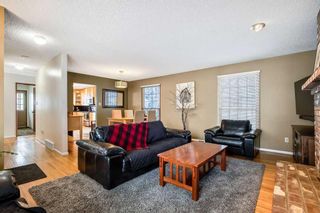 Photo 8: 2431 Sandhurst Avenue SW in Calgary: Scarboro/Sunalta West Detached for sale : MLS®# A2123877