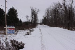 Photo 8: Lot 22 Maritime Road in Kawartha Lakes: Coboconk Property for sale : MLS®# X3413160
