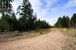 Photo 5: Lot Burman ST in Sackville: Vacant Land for sale : MLS®# M143181