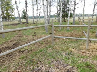 Photo 33: 84078 Highway 591: Rural Clearwater County Detached for sale : MLS®# A1111743