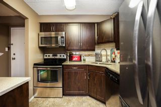 Photo 14: 410 376 Osborne Street in Winnipeg: Riverview Condominium for sale (1A)  : MLS®# 202329481
