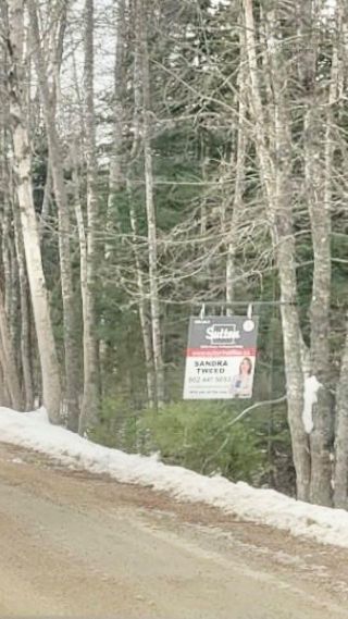 Photo 5: lot 48 Otter Point Road in East Chester: 405-Lunenburg County Vacant Land for sale (South Shore)  : MLS®# 202303763