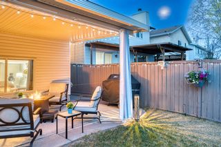Photo 44: 119 Riverwood Circle SE in Calgary: Riverbend Detached for sale : MLS®# A2046134