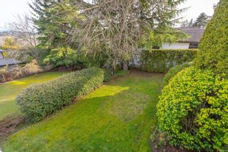Photo 41: 6661 Tamany Dr in Central Saanich: CS Tanner House for sale : MLS®# 900538