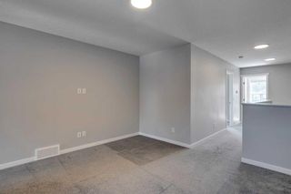Photo 21: 217 Masters Row SE in Calgary: Mahogany Detached for sale : MLS®# A2138500