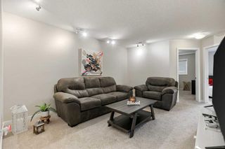 Photo 23: 104 Evansborough Common NW in Calgary: Evanston Detached for sale : MLS®# A2124622