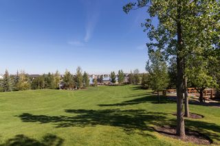 Photo 44: 49 Auburn Bay Gardens SE in Calgary: Auburn Bay Detached for sale : MLS®# A1081867