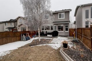 Photo 33: 203 Springborough Way SW in Calgary: Springbank Hill Detached for sale : MLS®# A1188556