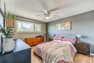 Photo 17: 5120 Brisebois Drive NW in Calgary: Charleswood Detached for sale : MLS®# A2054367