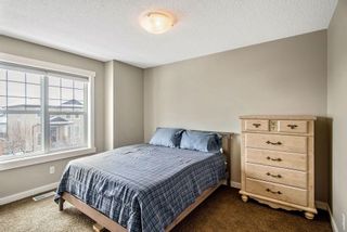 Photo 23: 101 Elgin Meadows Circle SE in Calgary: McKenzie Towne Detached for sale : MLS®# A2121708